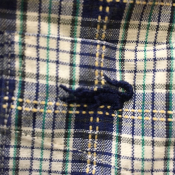 Crocodile shirts (2) - Picture 2 of 5